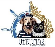 www.veterinaire-oleron.fr favicon